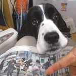 先日の中日新聞の1面の写真